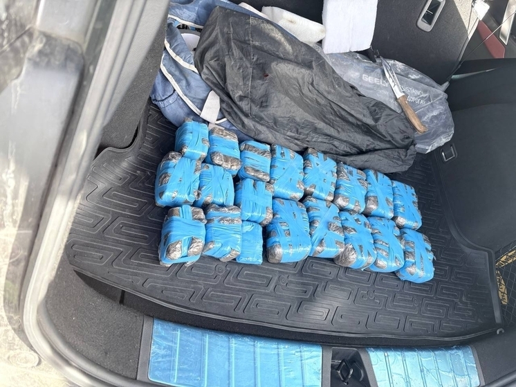 Поставщика крупной партии гашиша задержали в Вологодской области