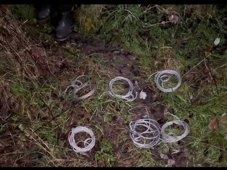 Браконьера с петлями задержали в лесу у поселка Рыбачий