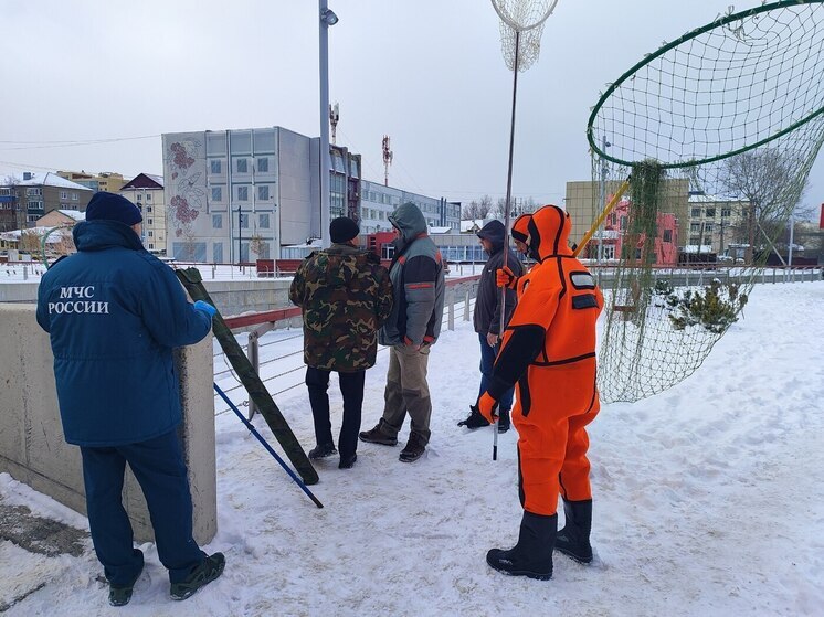 Специалисты проверили здоровье зимующей кряквы в Южно-Сахалинске