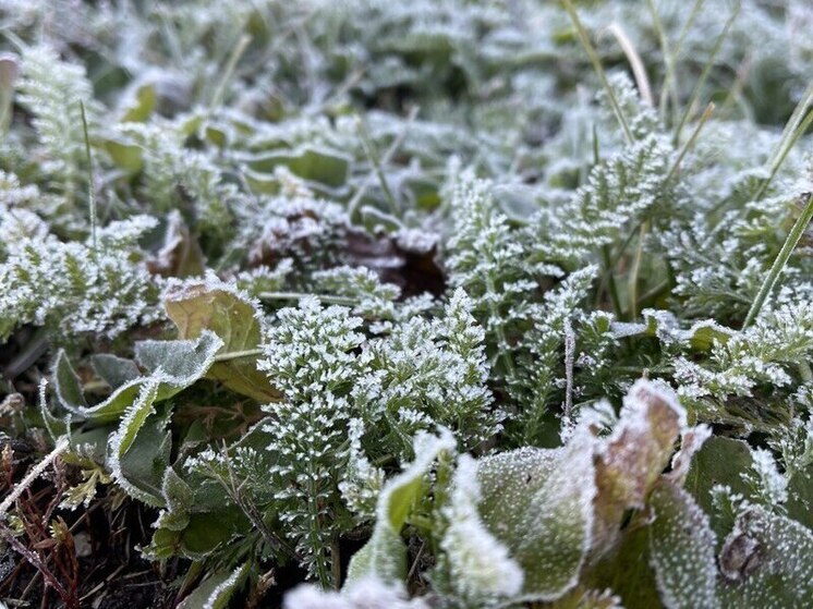 Каждый год на пензенскую землю приходит день, который в народном календаре отмечен не ярким праздником, а тихим переходом к зиме. Шестое декабря — день памяти святого Митрофана Воронежского — это не просто церковная дата. Для наших предков это была черта, после которой осень окончательно сдавала свои права.