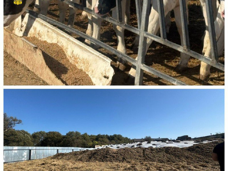 Тульская прокуратура вскрыла нарушения ветеринарных норм в ООО «Спасское»