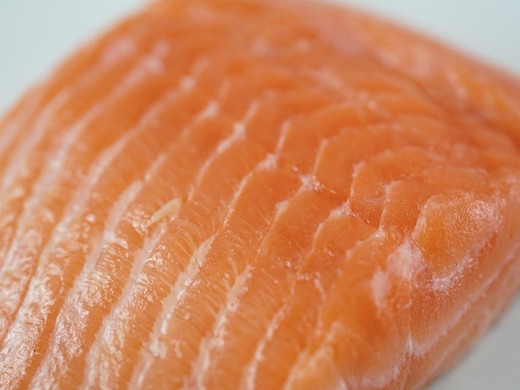 Рекордная путина 2025: Хабаровский край почти догнал Камчатку по вылову лосося