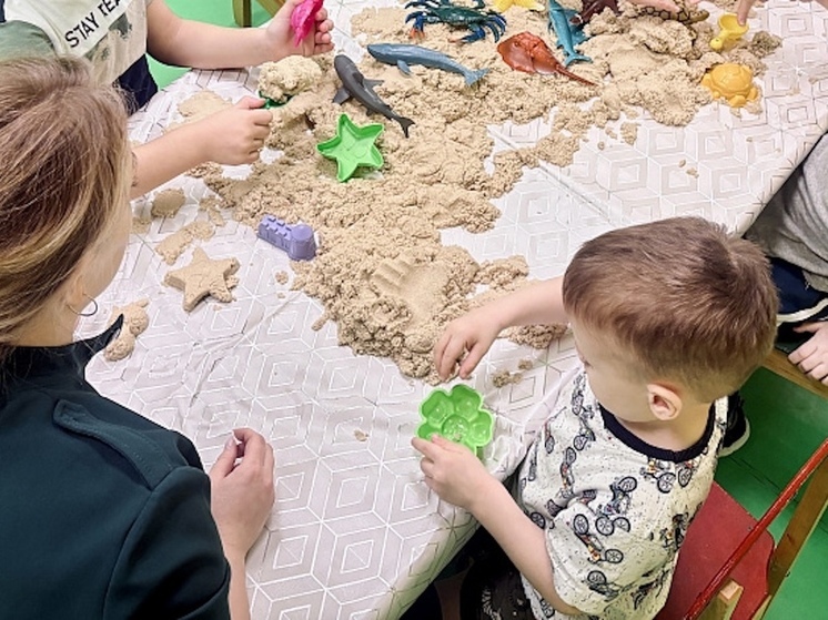 В Архангельской области успешно реализуется грантовый проект по подготовке к обучению в школе детей с расстройством аутистического спектра (РАС)