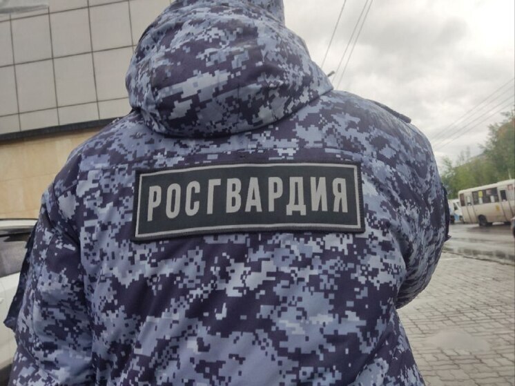 Без погони не обошлось. Алтайские росгвардейцы задержали двух пьяных водителей