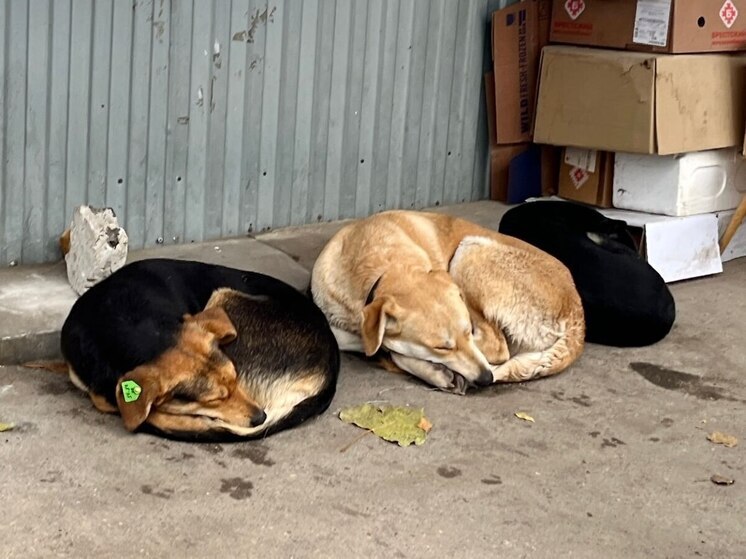 В Саратовской области начинается значительное падение температуры