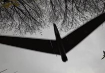 «Дроновая лихорадка» докатилась и до США – американцы вдруг осознали, что у них катастрофически мало всякого рода беспилотников