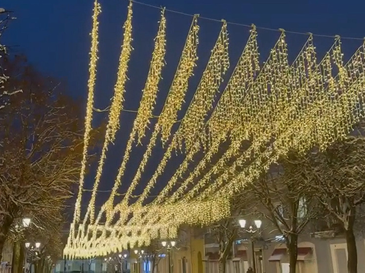 В Гатчине поставят 9 новогодних елок и повесят 330 праздничных фонариков