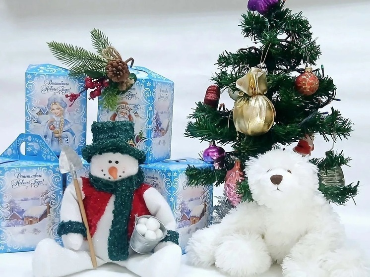 28 тысяч юных томичей из малообеспеченных семей получат подарки к Новому году