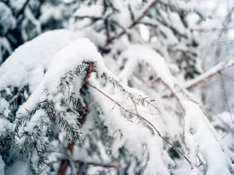 Самаре грозят мокрый снег и резкое похолодание до -5 градусов 6 и 7 декабря