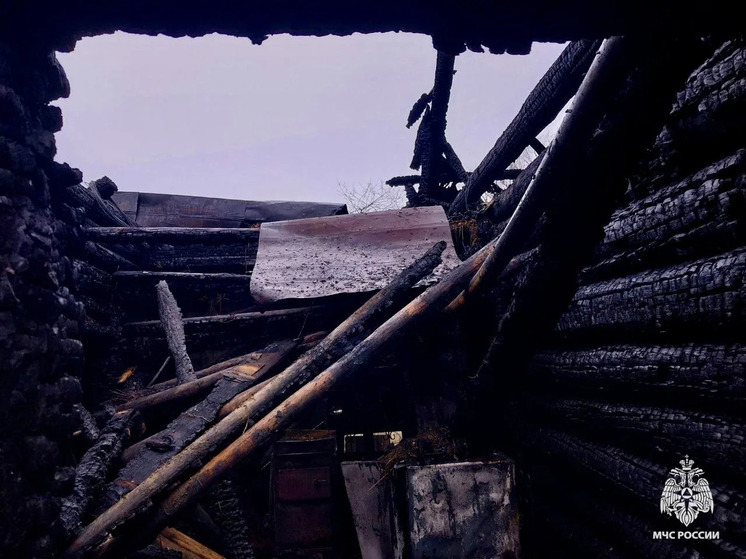 Названа причина страшного пожара с двумя погибшими в Тверской области