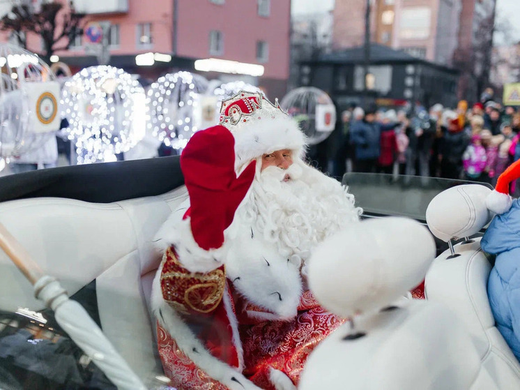 Резиденция Деда Мороза откроется в в Лесопарке Рязани