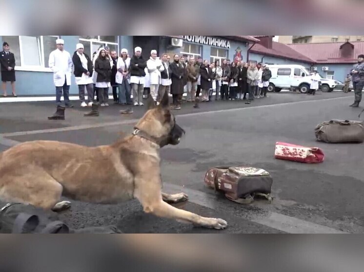 В Мелитополе для будущих медиков провели мероприятие «Один день в полиции России»