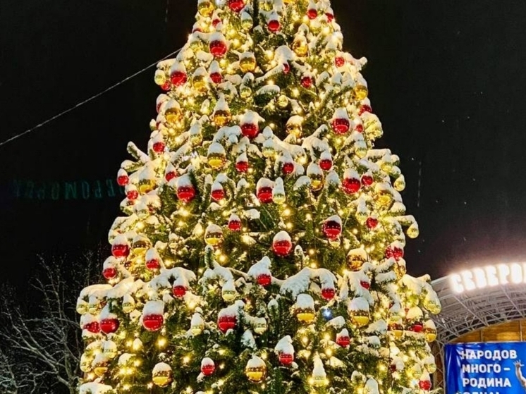 В Североморске поставили елку с бесплатным Wi-Fi