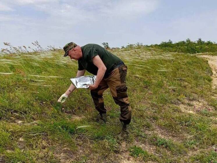 На Ставрополье провели массовую вакцинацию диких животных от бешенства