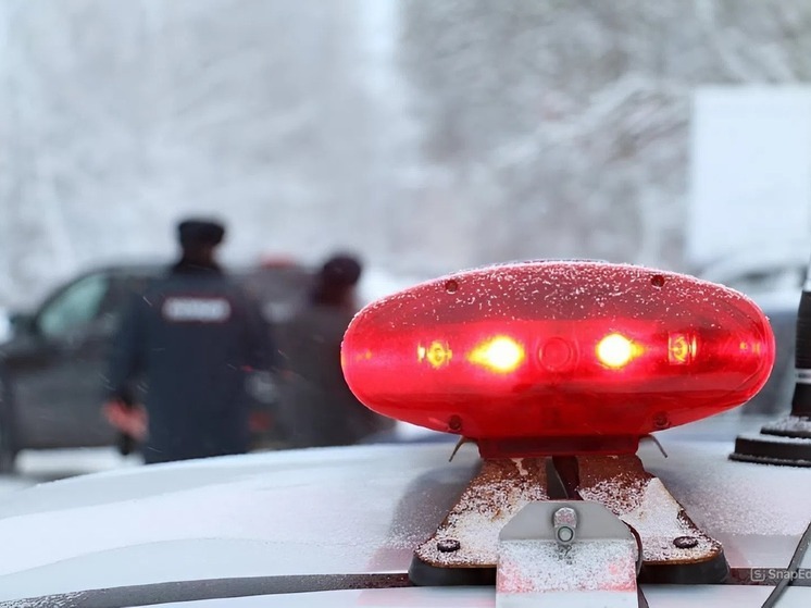 Семилетний мальчик попал под колёса авто на пешеходном переходе в Томске