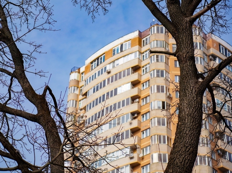 Росреестр отправил туляков к нотариусам, чтобы не словить «эффект Долиной»