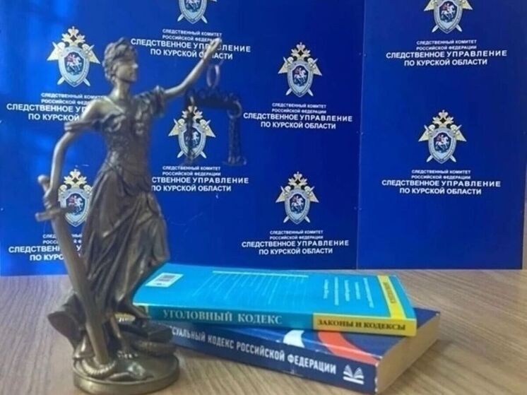 Курские следователи проверяют информацию о преступлениях против школьников