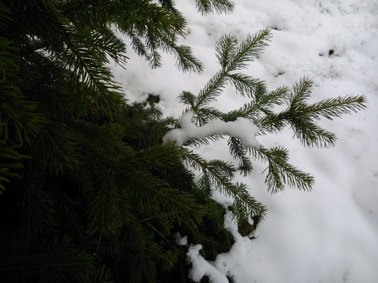 В выходные в Перми выпадет постоянный снег