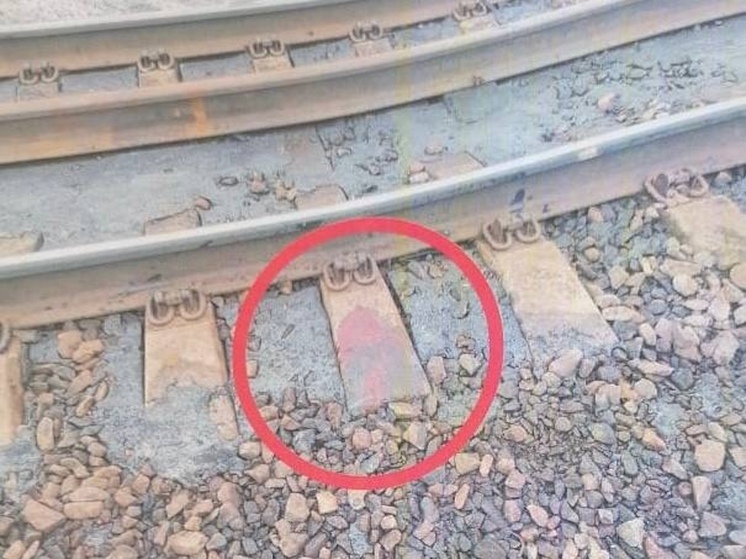 Житель Архангельской области осуждён на 7,5 лет за убийство сестры