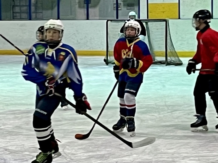Любителей хоккея приглашают на открытый турнир в Акбулаке: вход свободный