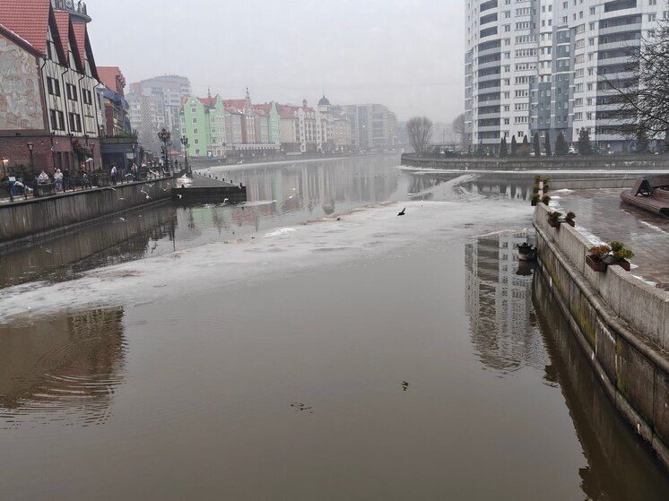 В Калининграде подвели итоги большой финансовой викторины для детей