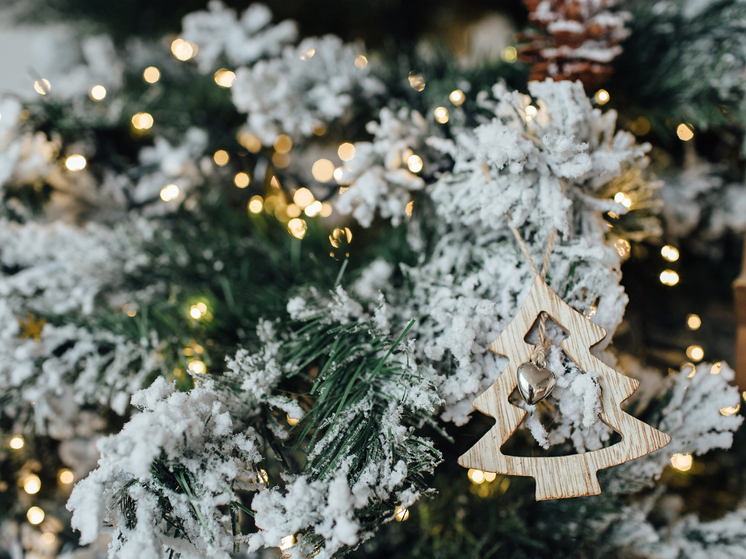 Эксперты призвали жителей Карелии не дарить котов в мешке в качестве новогодних подарков