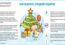 В преддверии Нового года, когда все (и особенно дети) ждут подарков, Роспотребнадзор Калмыкии поделился советами о том, как выбрать сладкий презент.  


