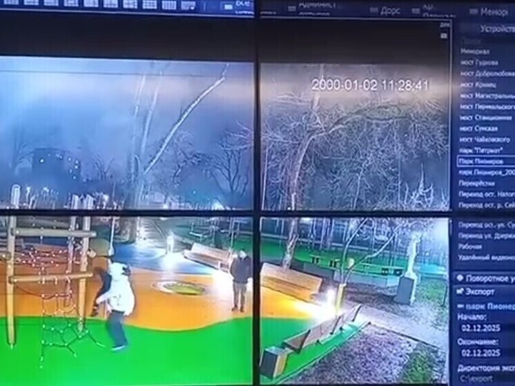 В Курске в общественных местах включили камеры наблюдения за вандалами