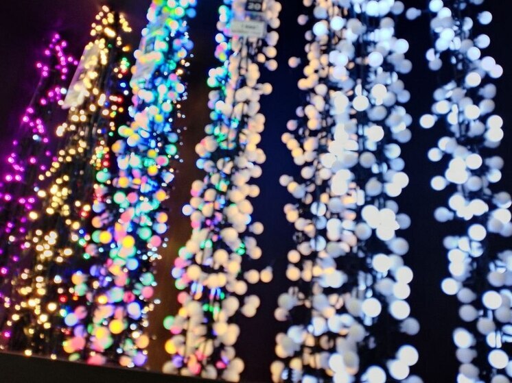 К новогодним праздникам в Великом Новгороде поселится «Семейство зайцев»