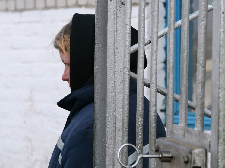 Жительница Запорожской области осуждена на 12,5 лет за финансирование ВСУ