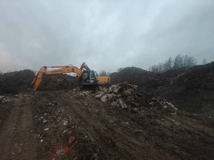 В деревне Хязельки остановили незаконный сброс отходов