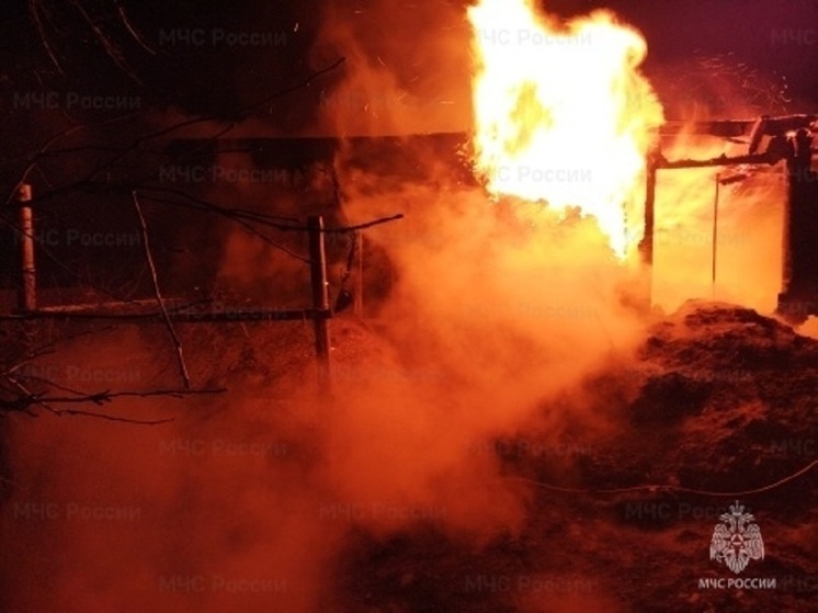 В Ярославской области сгорел хоздвор с курами, коровой и индейками