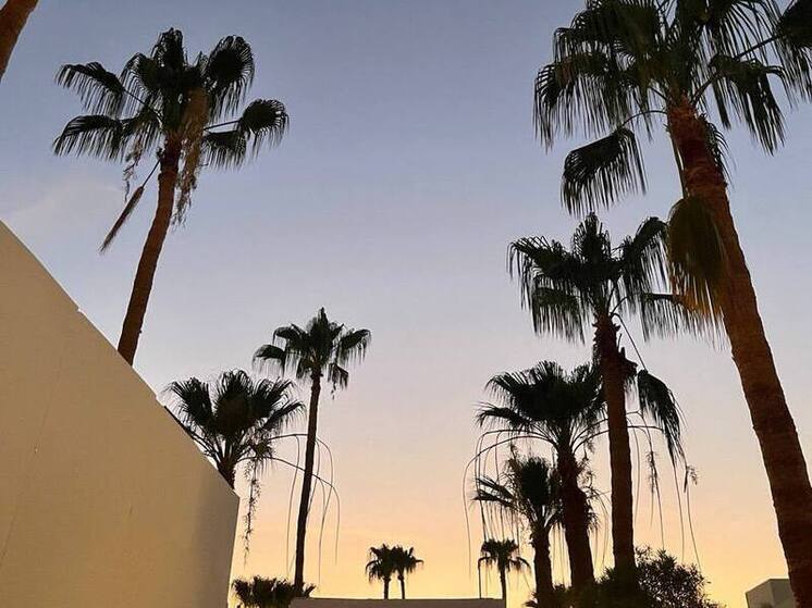 Каждый третий калининградец спорил с коллегами из-за отпуска