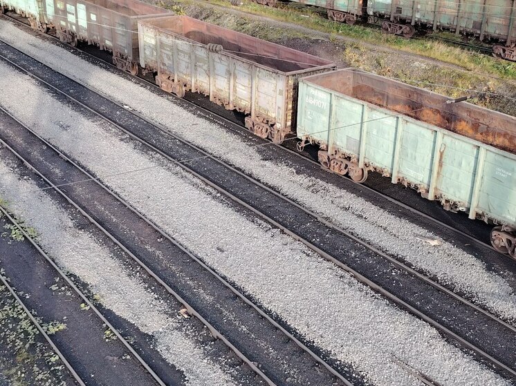 Поезд из Москвы в Петербург сбил лося насмерть