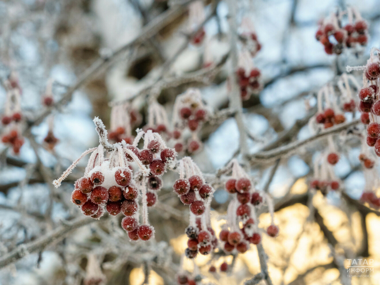 Похолодание до 15 градусов обещают татарстанцам в начале новой недели