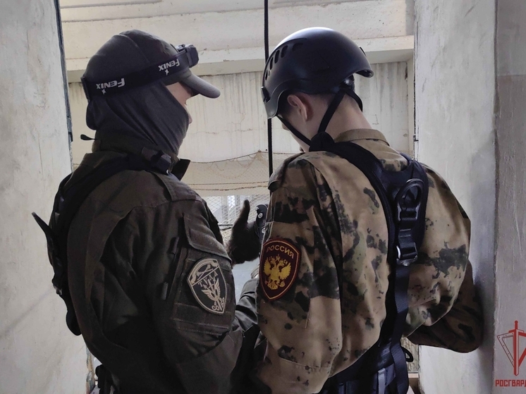 Тульские росгвардейцы провели мастер-класс по высотной подготовке