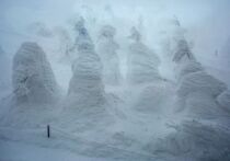 На склонах знаменитой японской горы Дзао каждую зиму происходит магия