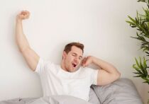 Есть в нашем календарном году темный период, когда пробуждение по утрам приносит особенные муки