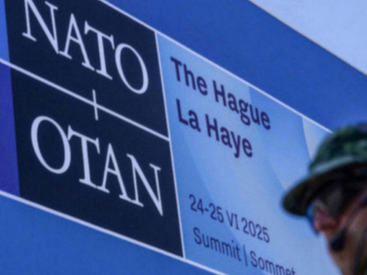 Reuters: США призвали ЕС взять на себя оборонные возможности НАТО