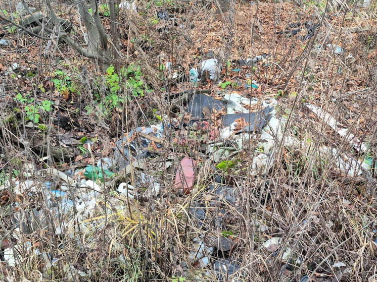 Сельская администрация в Марий Эл должна убрать свалку со своей территории