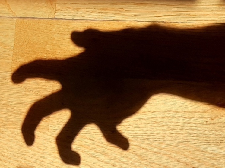 Житель Красного Кута ограбил мать друга