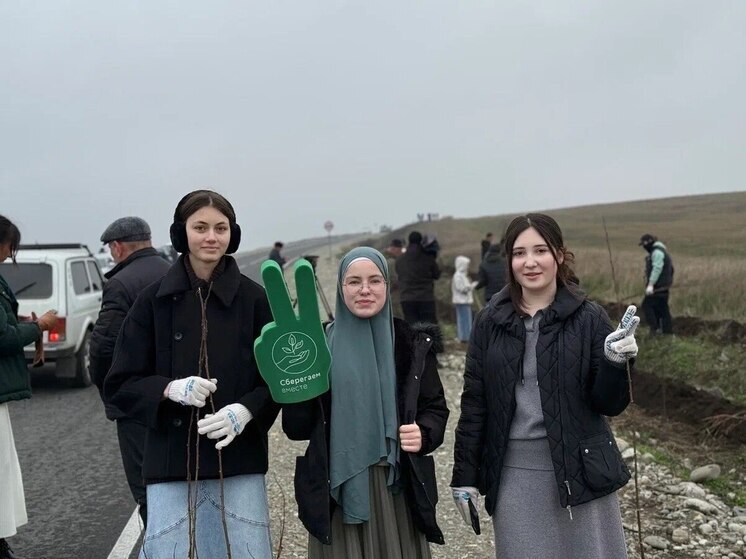 Ко Дню добровольца: более 4000 корпоративных волонтёров Сбера на Юге и Северном Кавказе реализуют сотню социальных проектов