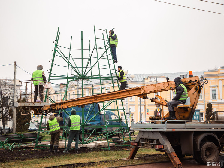 В Твери начали установку главной новогодней елки