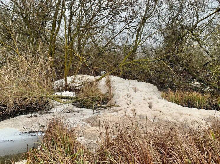 Хинштейна обеспокоил сброс в реку Апоку стоков Льговского сахарного комбината