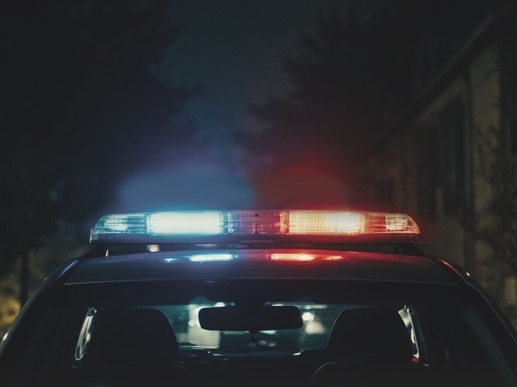 В Апатитах задержали двоих любителей покупок на халяву