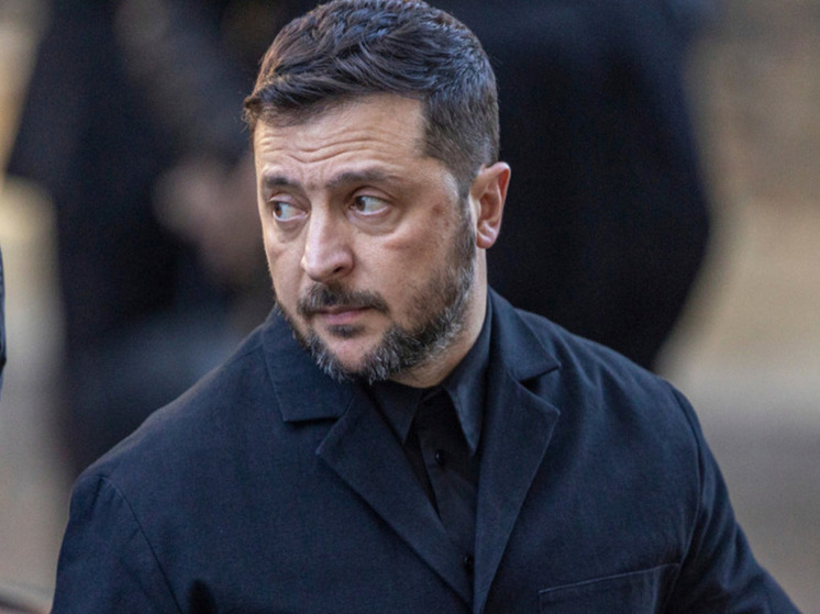 Малинен: Зеленский должен уйти в отставку, иначе его ликвидируют