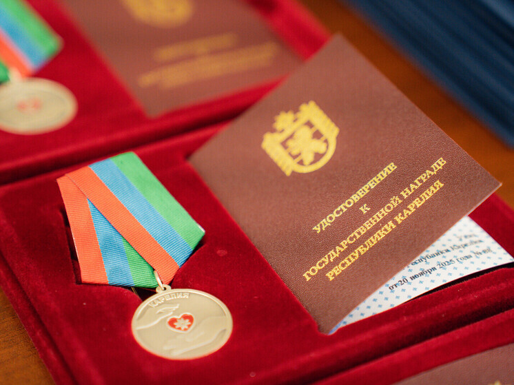 Лучшим добровольцам республики вручили государственные награды