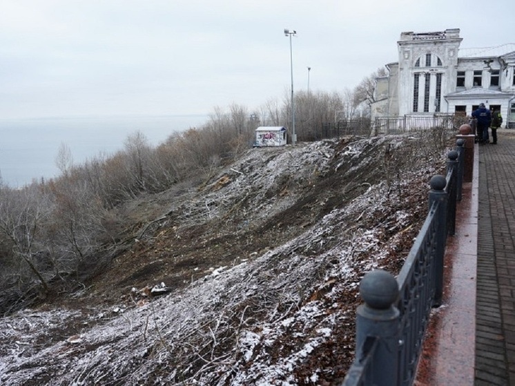 В Ульяновске «ликвидация» поросли сохранит склон от оползня в парке