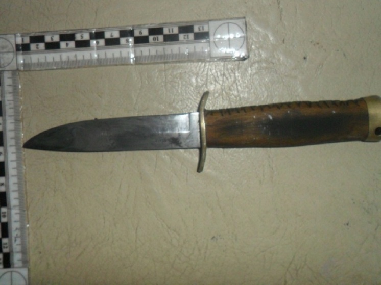 В Кимовске женщина ударила мужа ножом в спину