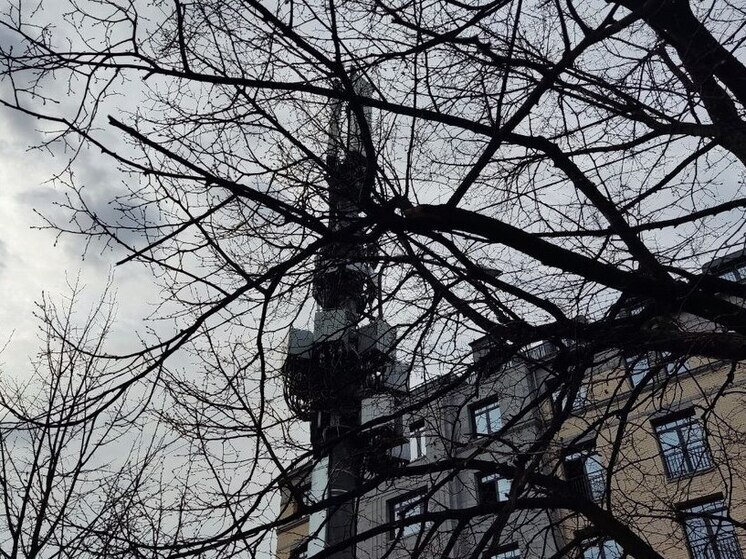 Живущие в нескольких деревнях и дачных поселках Кировского района Ленинградской области люди получили мобильную связь и интернет с максимальной скоростью до 80 Мбит⁄с